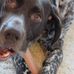 Otis Earle - Facebook