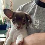 @otis_everette_lane - Instagram