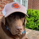 Otis Farmer - @otie_kabop203 - Instagram