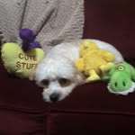 Murphy Otis Ferrell - @murphytheotis - Instagram