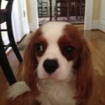 Otis - @otis_lee_ferrell - Instagram