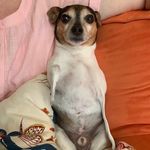 O T I S - @otis.j.fleming - Instagram