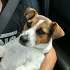 Otis Fleming - @otis.fleming5 - TikTok
