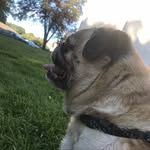 Otis Foley - @otis.foley - Instagram