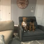 Otis Forest - Facebook