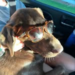 Otis Garner - @therealottis_ilovefood - Instagram