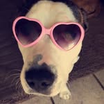 Otis Garrett - @the_only_otis_ - Instagram