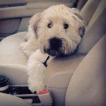 Otis Gates - @otisgates - Instagram