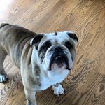Otis Gentry - @otismatthew15 - Instagram