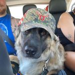 Otis Gentry - @otisinhats - Instagram