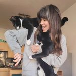 Otis and George - @og_cats1309 - Instagram