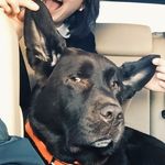 otis george - @otisgeorgebuono - Instagram