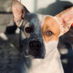 Otis George - @_otisgeorge_ - Instagram
