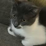 Otis George McCoy - @otis_mccoy_ - Instagram