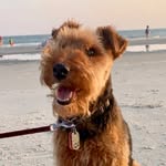 Otis - @otis__glenn - Instagram