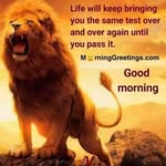 Otis Grant - @otisgrant242 - Instagram