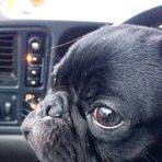 Otis Gross - Facebook