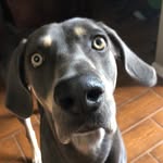 Dexter Otis Guffey - @dexter_o_guffey - Instagram
