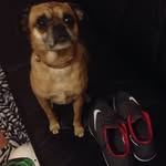 Skreech - @im_that_guy_otis - Instagram