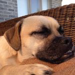 Otis Hamilton - @otis_meyer_hamilton - Instagram