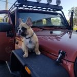 Otis Hamilton - @otis_hamilton17 - Instagram