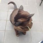 Otis Hamilton - @otishamie - Instagram