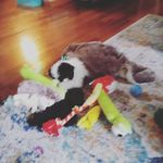 Otis Hamilton Evans - @otis.hamilton_1025 - Instagram