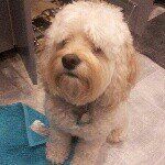 otis - @otishammond - Instagram