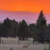 Otis Hampton - @otis.hampton2012 - TikTok