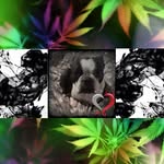 otis fire fly (hansen) - @otis_fire_fly_15 - Instagram
