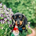 Mr Otis Harding - @mrotisharding - Instagram