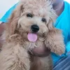 Otis Harris - @otis.harris114 - TikTok