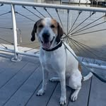 Otis Harris-Beach - @lifeofotissss - Instagram