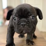 Otis S. Hayes - @otishead - Instagram