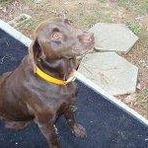 Otis Heath - Facebook