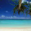 otishendricks742 - @otishendricks742 - TikTok