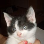 Otis Hensley - Facebook