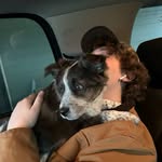Otis Herman - @realotisherman - Instagram