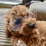 Sasha & Otis Hodges - @sashachodges - Instagram