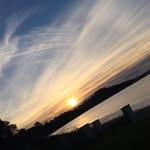 Otis Hoffmann - @otishoffmann - Instagram