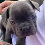 @otispaulhogan - Instagram