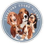 Maisy Grace, Otis Blue, Henry Holmes, Maggie May & Charlie Gray - @surroundsoundhounds - Instagram