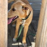 Otis - @otishood20 - Instagram