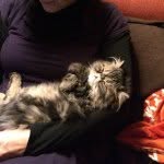 Otis - @otis_in_da_house - Instagram