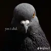 sndneltxal9 - @houseotisyab28 - TikTok