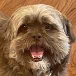 otis logen hull - @otis_hull - Instagram
