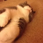 Samuel Otis Hull - @orangohands - Instagram
