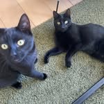 Otis & Jack - @otis.and.jack - Instagram