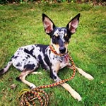 Otis - @otis.jackson.spencer - Instagram