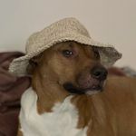 Otis Jackson - @lord_puppo - Instagram